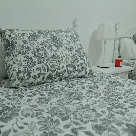 Casa Ramon Acosta Apartment Brena Baja